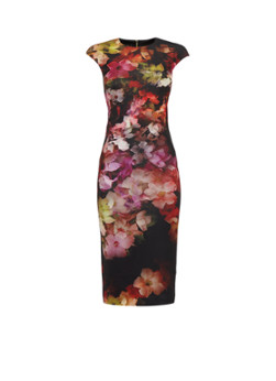 Ted Baker Catina midi-jurk met bloemenprint 1